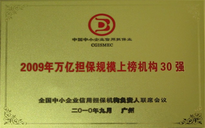 2009年萬億擔(dān)保規(guī)模上榜機(jī)構(gòu)30強(qiáng) 2009年萬億擔(dān)保規(guī)模上榜機(jī)構(gòu)30強(qiáng)
